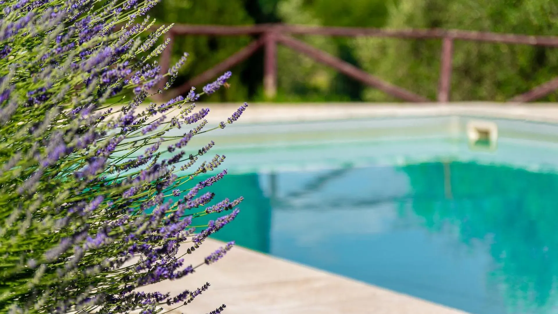 Bellaria Apartments - Chianti View, Swimming Pool, Nature San Sano